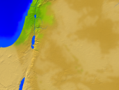 Jordan Vegetation 800x600